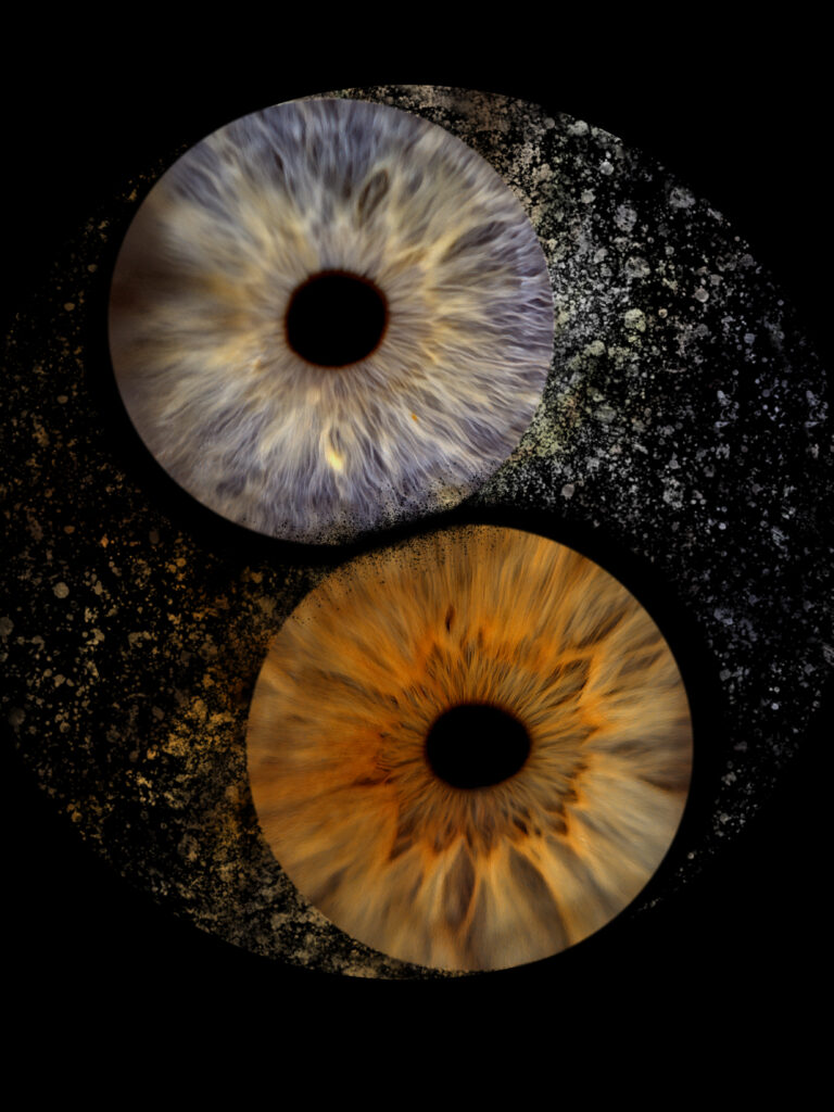 Irisfotografie: zwei Augen als Yin-Yang-Motiv