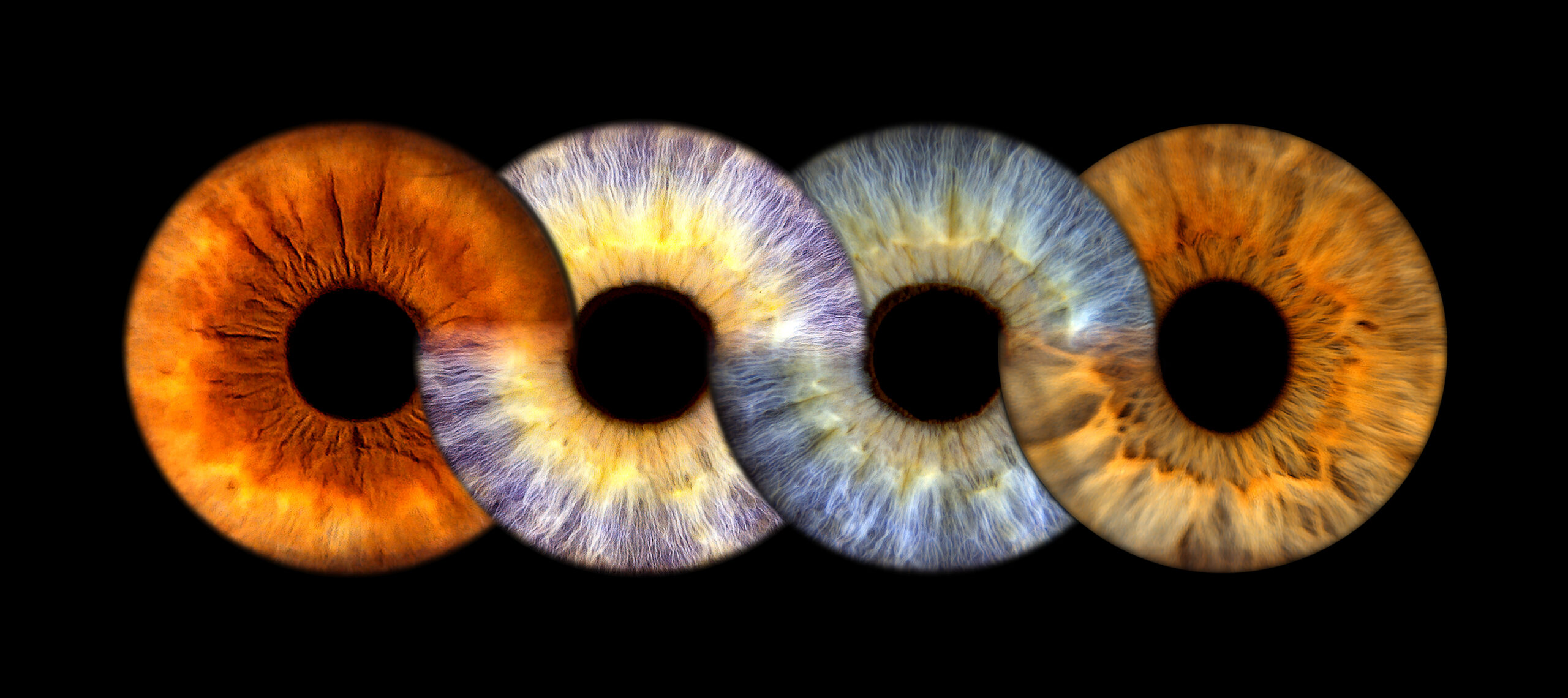 Irisfotografie: mehrere Augen einer Familie in einem Bild