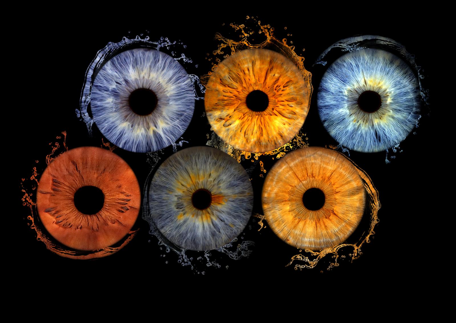 Irisfotografie mit Effekt vor schwarzem Hintergrund