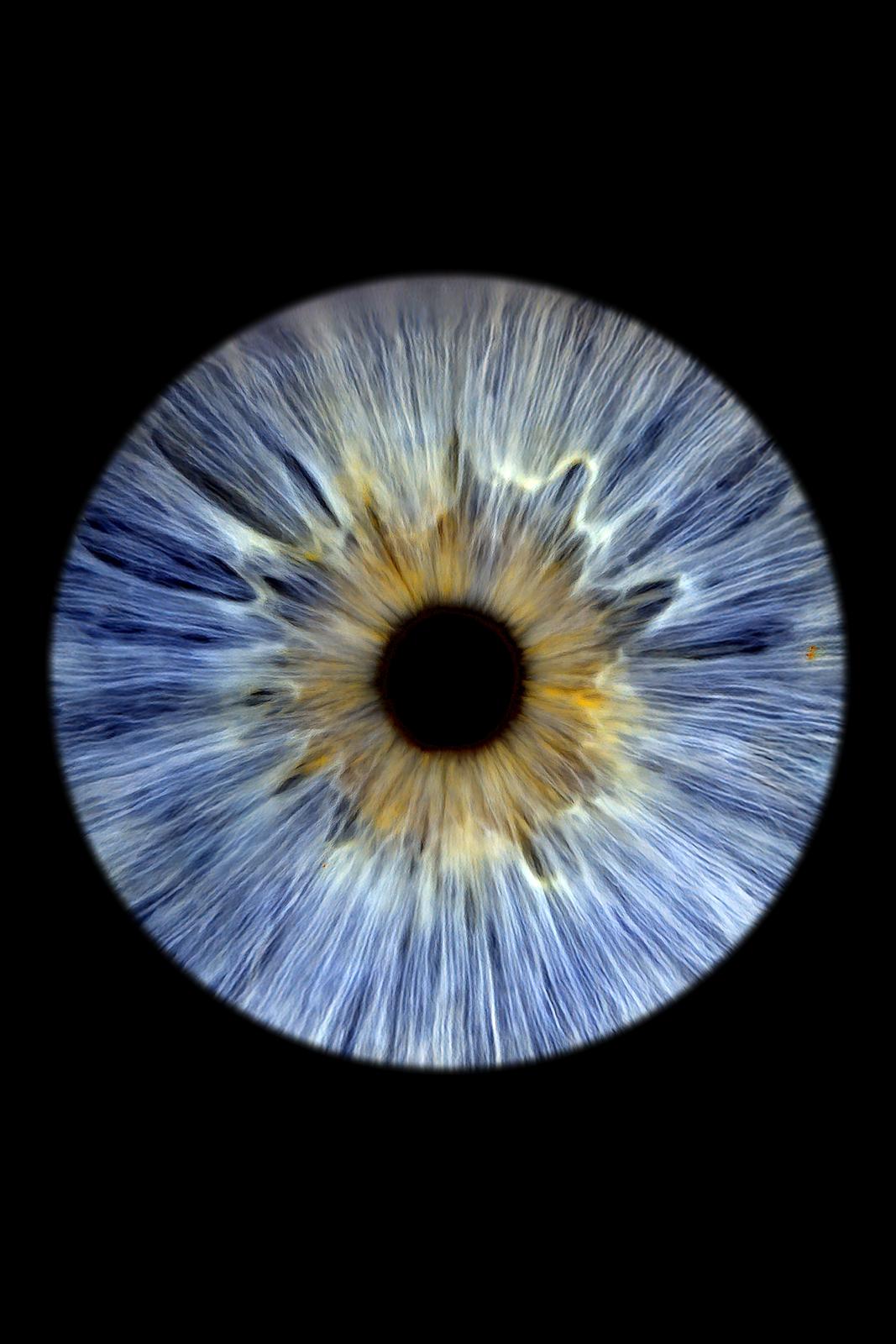 Irisfotografie: einzelnes Auge vor schwarzem Hintergrund