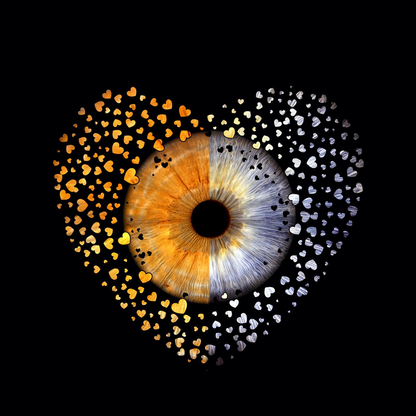 Irisfotografie mit Splash-Effekt vor schwarzem Hintergrund